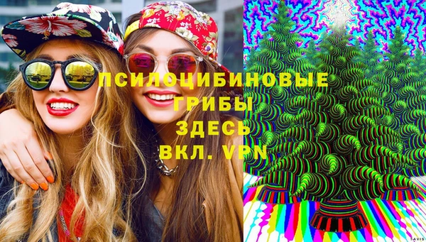 амфетамин Алексеевка