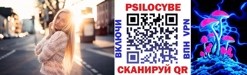 Псилоцибиновые грибы прущие грибы  купить закладку  Кудрово 